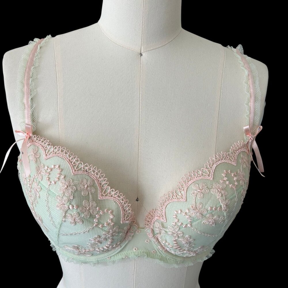 Chantelle Caprice Bra Green Pink Lace Embroidery 38D $120 Coquette Girlhood
